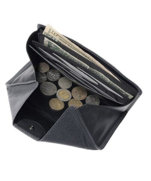 HIROKO HAYASHI / ヒロコハヤシ 財布・コインケース・マネークリップ | VELENO CISA（ヴェレーノ チーザ）長財布ミニ | 詳細6