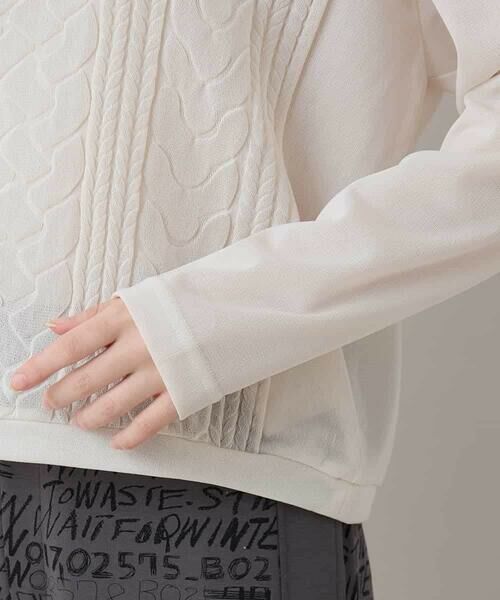 HIROKO KOSHINO / ヒロココシノ カットソー | ケーブル編柄エンボスデザインプルオーバー/洗える | 詳細5