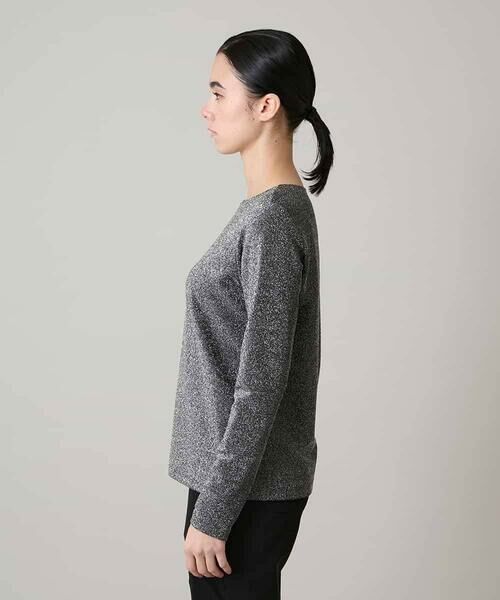 HIROKO KOSHINO / ヒロココシノ カットソー | シャイニーラメジャージーカットソー/日本製/洗える | 詳細1