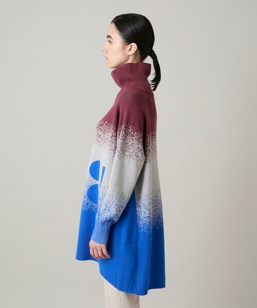 HIROKO KOSHINO / ヒロココシノ チュニック | グラデーションジャカードニットチュニック/洗える | 詳細1