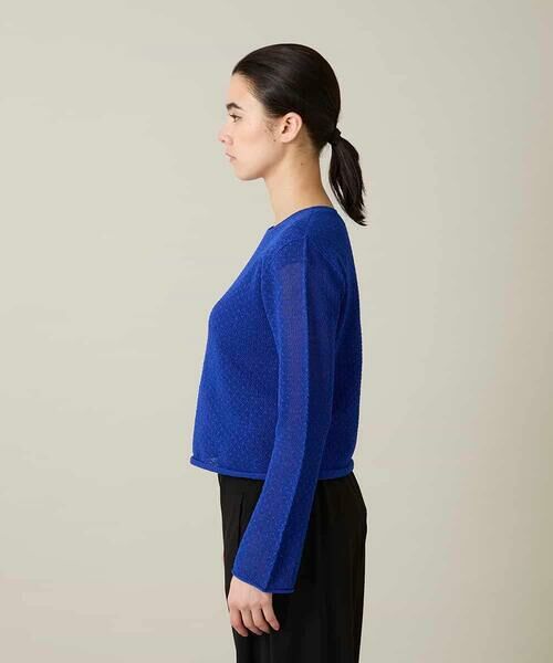 HIROKO KOSHINO / ヒロココシノ ニット・セーター | シアーメッシュニットプルオーバー /洗える | 詳細2