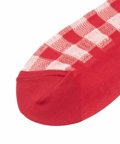 HIROKO KOSHINO / ヒロココシノ その他小物 | チェックシースルーソックス /日本製/洗濯機で洗える | 詳細3