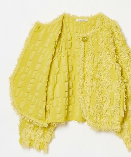 HOUSE OF LOTUS / ハウス オブ ロータス カーディガン・ボレロ | カットジャカードカーディガン | 詳細14