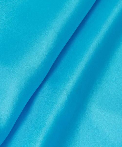 HOUSE OF LOTUS / ハウス オブ ロータス スカート | シルクハブタエフレアスカート | 詳細18