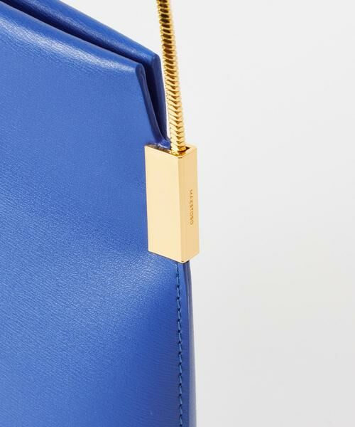 HOUSE OF LOTUS / ハウス オブ ロータス ショルダーバッグ | チェーンバッグカーフ | 詳細9