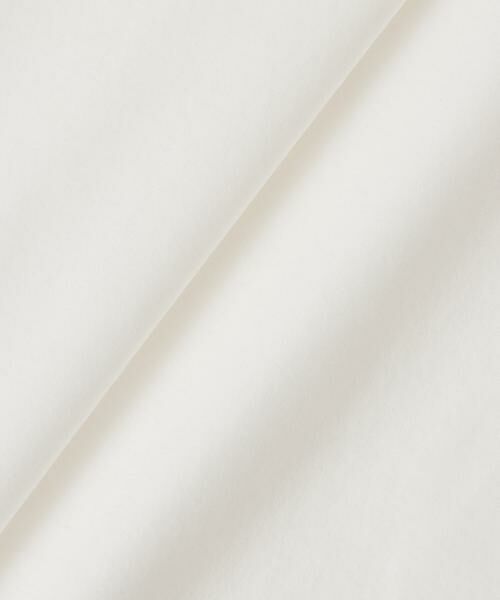 HOUSE OF LOTUS / ハウス オブ ロータス カットソー | シルケットスムースプルオーバー | 詳細17