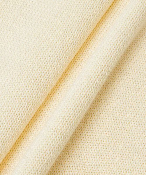 HOUSE OF LOTUS / ハウス オブ ロータス ニット・セーター | クリアコットンクループルオーバー | 詳細18