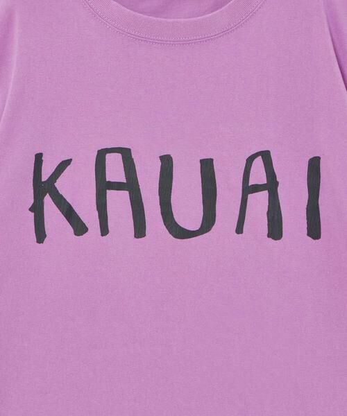 HOUSE OF LOTUS / ハウス オブ ロータス カットソー | ハワイアイランドカラーTシャツ －KAUAI－ | 詳細7