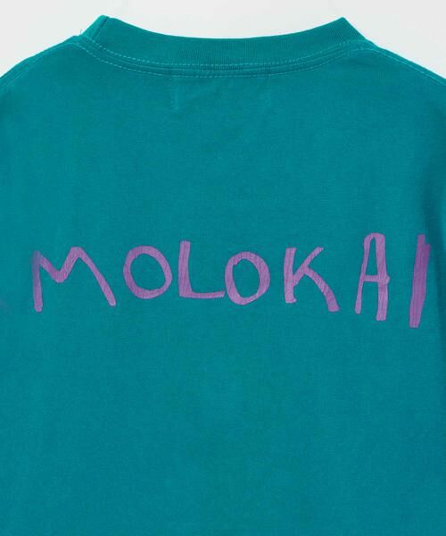 HOUSE OF LOTUS / ハウス オブ ロータス カットソー | ハワイアイランドカラーTシャツ －MOLOKAI－ | 詳細13