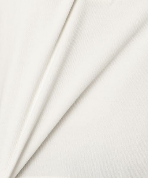 HOUSE OF LOTUS / ハウス オブ ロータス ポロシャツ | クロップドポロシャツ | 詳細5