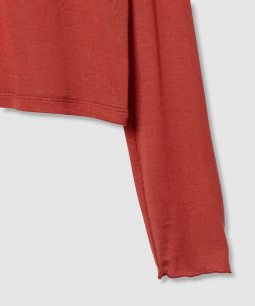 HOUSE OF LOTUS / ハウス オブ ロータス カットソー | シアータートルネックプルオーバー | 詳細12