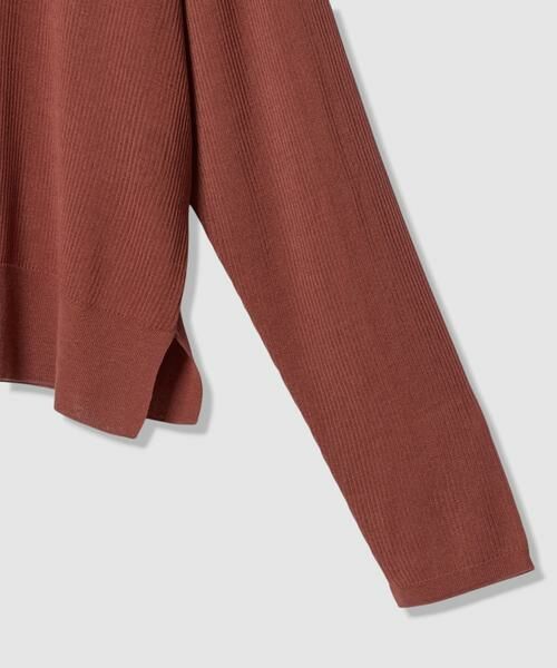 HOUSE OF LOTUS / ハウス オブ ロータス ニット・セーター | シアーニットプルオーバー | 詳細17