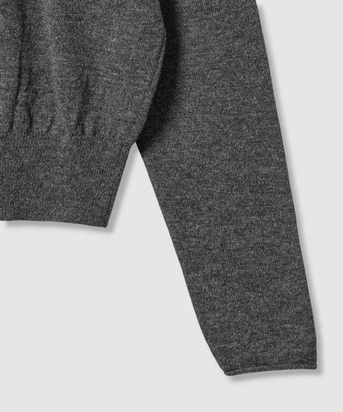 HOUSE OF LOTUS / ハウス オブ ロータス ニット・セーター | カシミヤシルクブレンドクルーネックプルオーバー | 詳細12