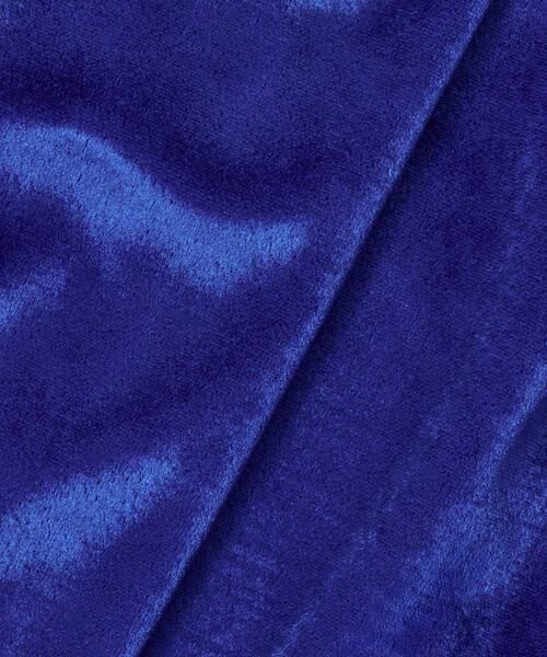 HOUSE OF LOTUS / ハウス オブ ロータス その他パンツ | トリアセベロアパンツ | 詳細14