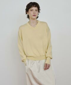 HOUSE OF LOTUS / ハウス オブ ロータス ニット・セーター | ウーステッドメリノウールVネックプルオーバー