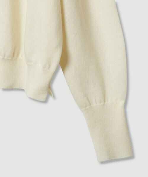 HOUSE OF LOTUS / ハウス オブ ロータス ニット・セーター | ウーステッドメリノウールVネックプルオーバー | 詳細19