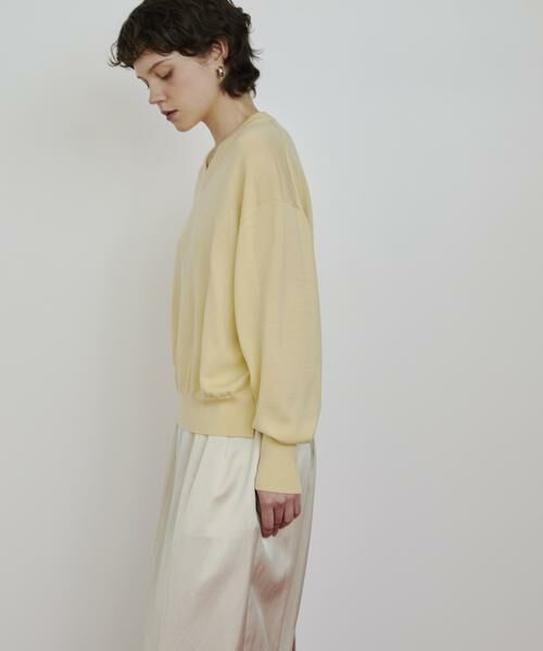 HOUSE OF LOTUS / ハウス オブ ロータス ニット・セーター | ウーステッドメリノウールVネックプルオーバー | 詳細5