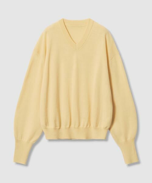 HOUSE OF LOTUS / ハウス オブ ロータス ニット・セーター | ウーステッドメリノウールVネックプルオーバー | 詳細23
