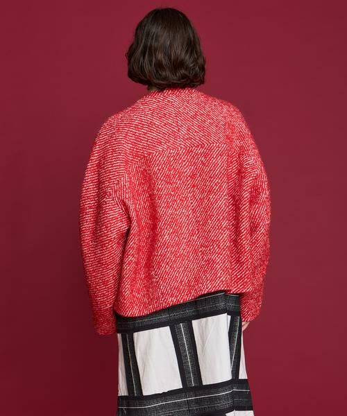 HOUSE OF LOTUS / ハウス オブ ロータス その他アウター | ワイドカルゼボトルネックブルゾン | 詳細2