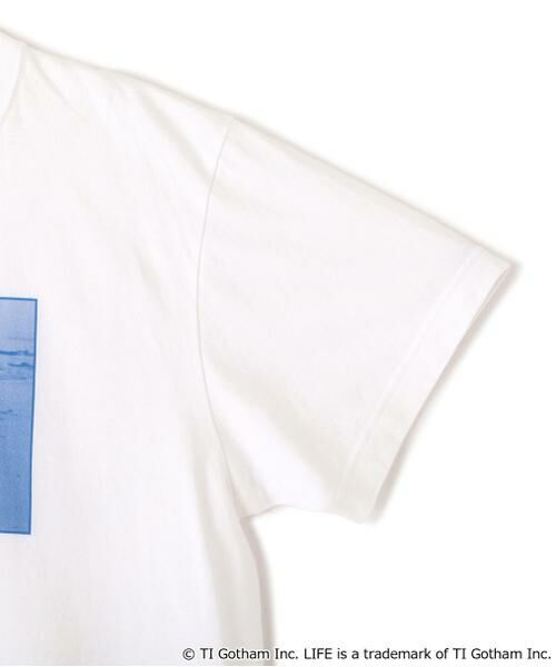 human woman / ヒューマンウーマン カットソー | ＬＩＦＥコラボフォトＴシャツ　ドッグ | 詳細5