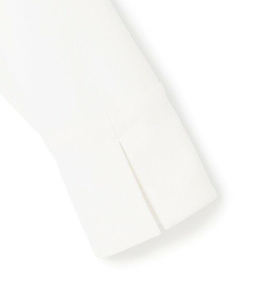 ICB / アイシービー カットソー | 【WEB限定カラーあり】マラボーテＷジョーゼット ボウタイ付きシャツカラートップス | 詳細30