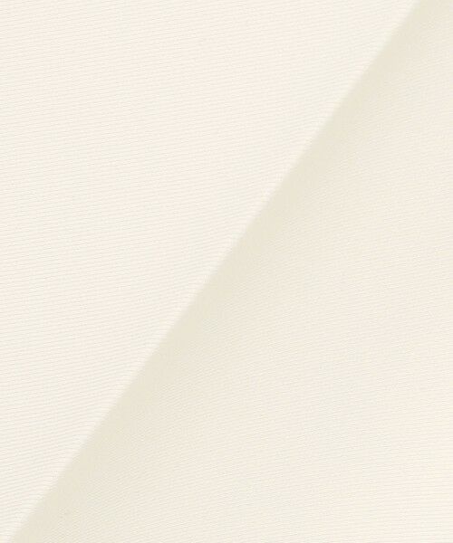 ICB / アイシービー その他パンツ | 【洗える】 トリアセボディシェルピーチ スティックパンツ | 詳細17