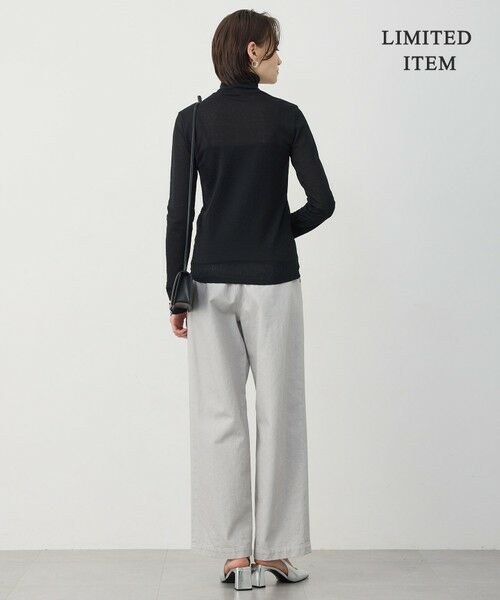 ICB / アイシービー カットソー | 【WEB限定】 コットンレーシージャガード ハイネックカットソー | 詳細16