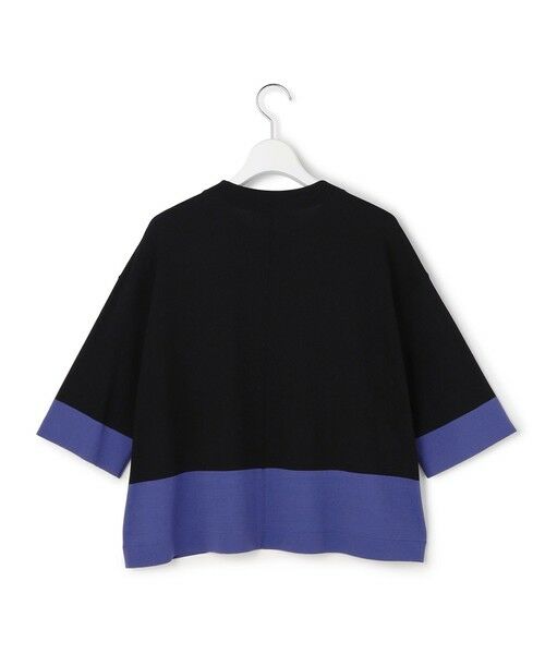 ICB / アイシービー ニット・セーター | VIS/NYハイゲージ バイカラーニットT | 詳細12