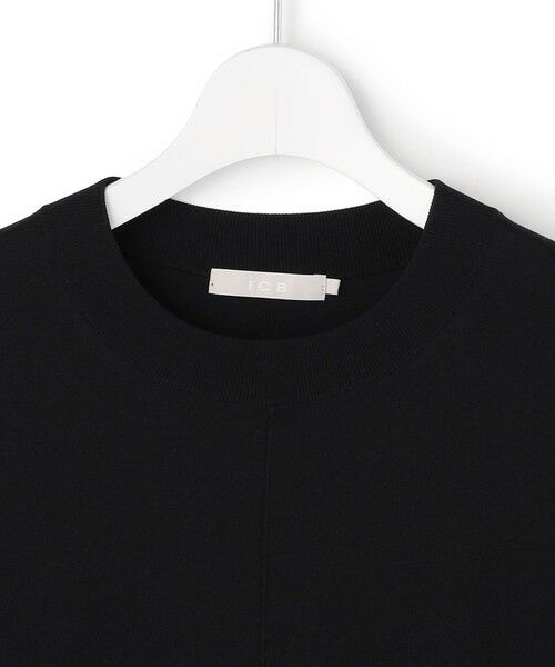 ICB / アイシービー ニット・セーター | VIS/NYハイゲージ バイカラーニットT | 詳細9