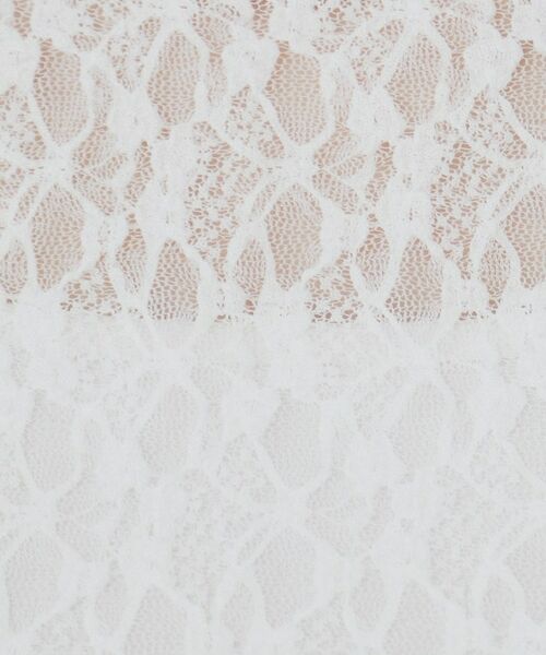 index / インデックス カットソー | シアーフラワーストレッチトップス【洗濯機洗い可】 | 詳細4