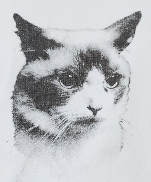 ねこ　プリントTシャツ 楽天市場】猫のTシャツ プリントシャツ 3Dプリント 半袖Tシャツ