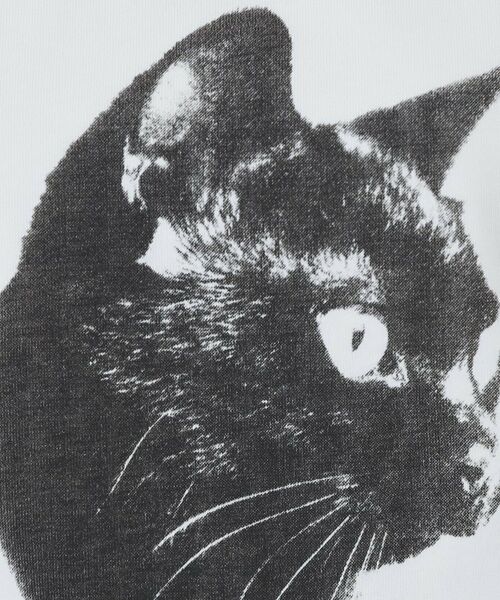 ねこ　プリントTシャツ 楽天市場】猫のTシャツ プリントシャツ 3Dプリント 半袖Tシャツ