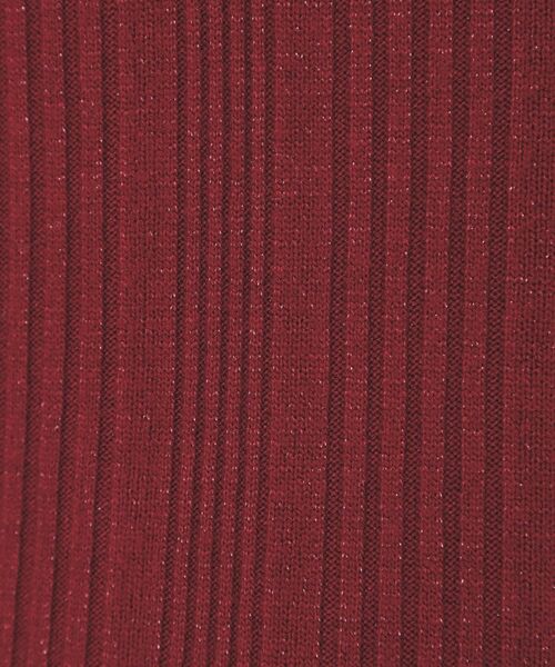 index / インデックス カットソー | ランダムリブハイネックトップス【洗濯機OK/吸湿発熱】 | 詳細16