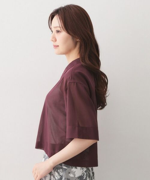 index / インデックス シャツ・ブラウス | シアーボイルボクシーショートブラウス【洗濯機OK／イージーアイロン】 | 詳細14
