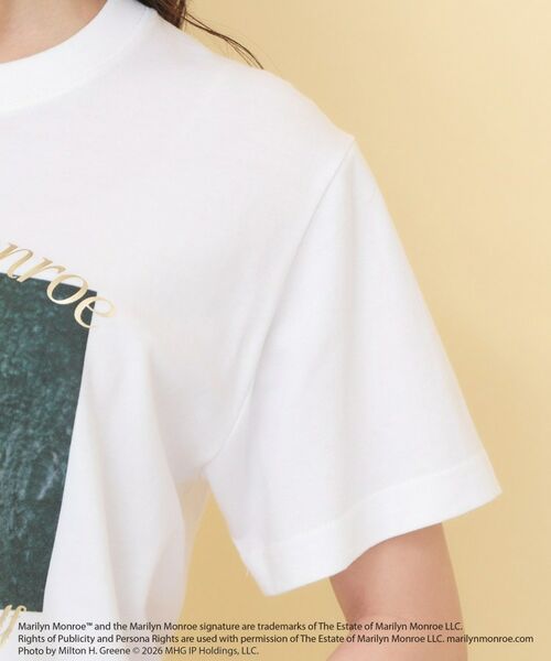 index / インデックス Tシャツ | マリリン・モンロー/アソートＴシャツ【洗濯機ＯＫ】 | 詳細17