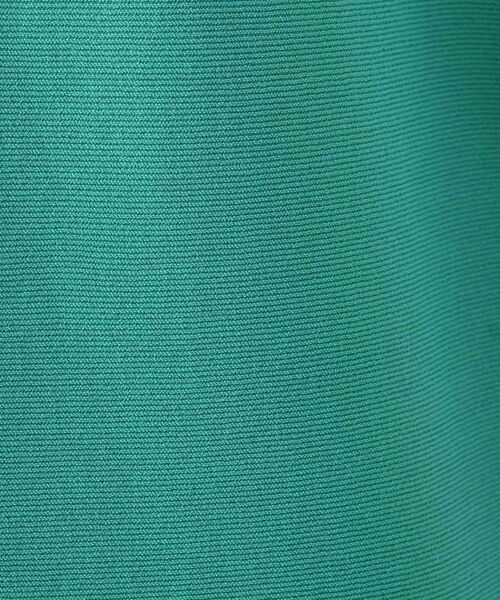 INDIVI / インディヴィ ニット・セーター | 新色登場！【洗える／清涼感】レーヨンストレッチ フレンチスリーブニット | 詳細9