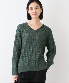 INDIVI / インディヴィ ニット・セーター | 【ウール混】クルーネックケーブルニット