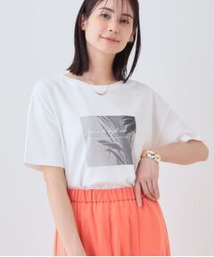 INDIVI / インディヴィ カットソー | 【洗える】ベーシックプリントTシャツ