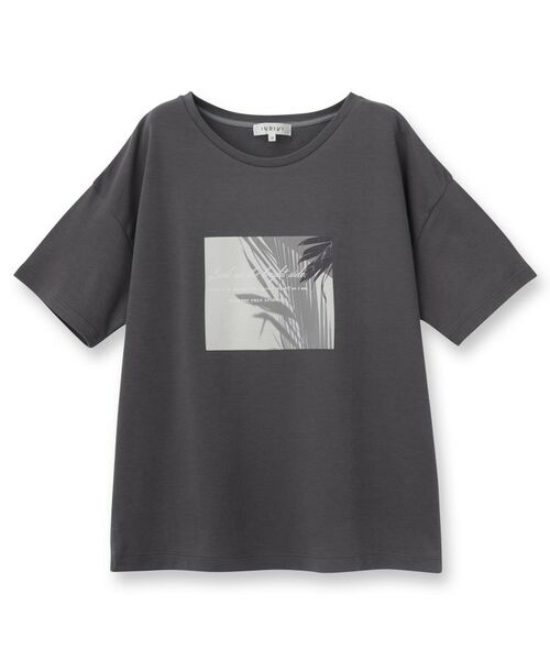 INDIVI / インディヴィ カットソー | 【洗える】ベーシックプリントTシャツ | 詳細1