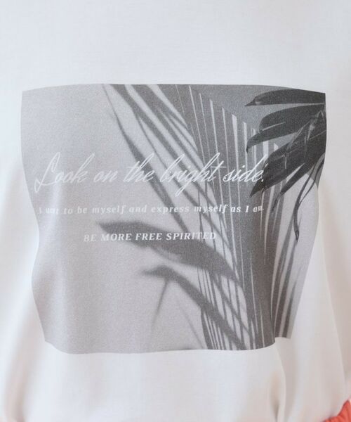 INDIVI / インディヴィ カットソー | 【洗える】ベーシックプリントTシャツ | 詳細13