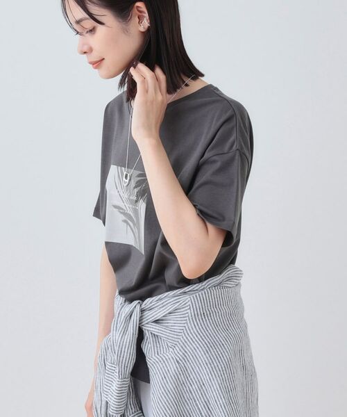 INDIVI / インディヴィ カットソー | 【洗える】ベーシックプリントTシャツ | 詳細14