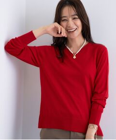 INDIVI / インディヴィ ニット・セーター | 【洗える／毛玉になりにくい】エクストラファインウール Vネックニット