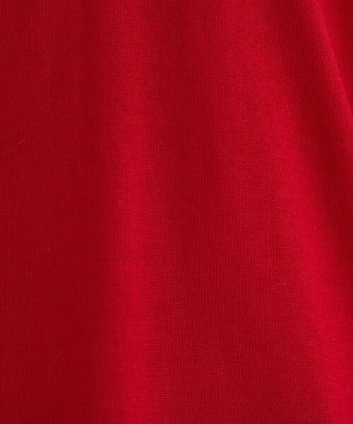 INDIVI / インディヴィ ニット・セーター | 【洗える／毛玉になりにくい】エクストラファインウール Vネックニット | 詳細13