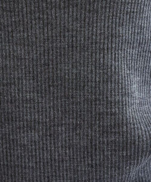 INDIVI / インディヴィ ニット・セーター | 【洗える／毛玉になりにくい】エクストラファインウール リブタートルニット | 詳細25