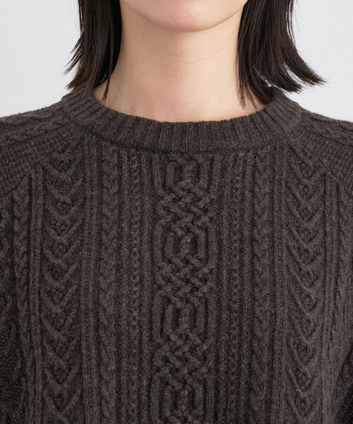 INDIVI / インディヴィ ニット・セーター | 【洗える】ケーブルデザイン ラウンドヘムニット | 詳細21