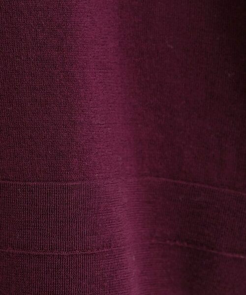 INDIVI / インディヴィ ニット・セーター | 【洗える/毛玉になりにくい】エクストラファインウール ハイネックニット | 詳細9