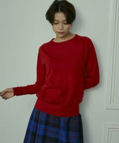 INED / イネド ニット・セーター | 《大きいサイズ》クルーネックニット