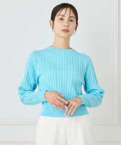 INED / イネド ニット・セーター | 《大きいサイズ》ケーブルニット