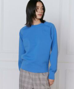 INED / イネド ニット・セーター | 《大きいサイズ》スムースプルオーバーニット