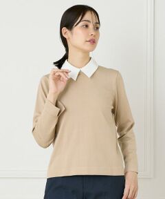 INED / イネド ニット・セーター | 《大きいサイズ》衿付きクルーネックプルオーバー